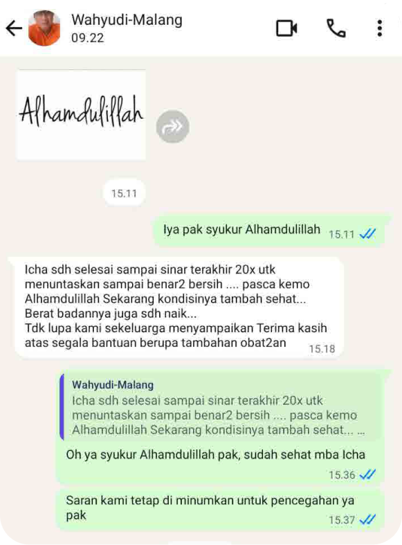 dt-testi-wa-2